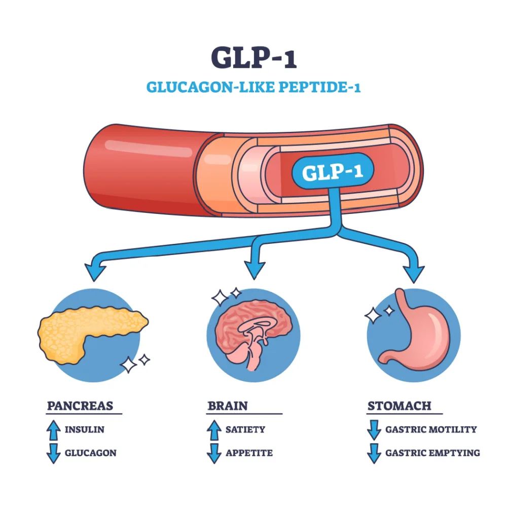 Understanding GLP-1: The Hormone Behind Appetite, Metabolism, and Weight Loss